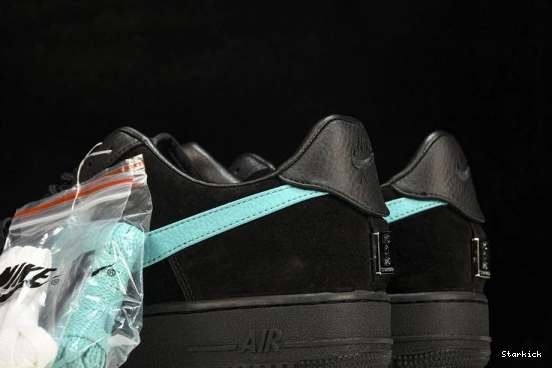 Tiffany Low 1  Force 1837 & Nike Air DZ1382-001 Co. 0208